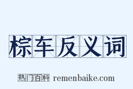 棕车反义词是什么意思的图片